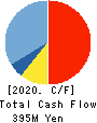 TeamSpirit Inc. Cash Flow Statement 2020年8月期