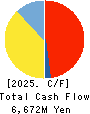 Anicom Holdings, Inc. Cash Flow Statement 2025年3月期