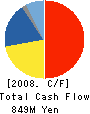NODA SCREEN CO.,LTD. Cash Flow Statement 2008年4月期