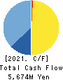 DAIDOH LIMITED Cash Flow Statement 2021年3月期