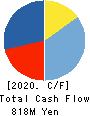 PATH Corporation Cash Flow Statement 2020年3月期