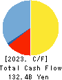 Tokyo Kiraboshi Financial Group, Inc. Cash Flow Statement 2023年3月期