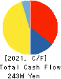 Amatei Incorporated Cash Flow Statement 2021年3月期