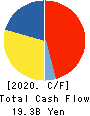 AIN HOLDINGS INC. Cash Flow Statement 2020年4月期