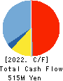 Wellco Holdings Corporation Cash Flow Statement 2022年10月期