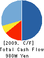 Biznet Corporation Cash Flow Statement 2009年5月期