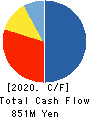 PIXELA CORPORATION Cash Flow Statement 2020年9月期