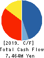 The Global Ltd. Cash Flow Statement 2019年6月期