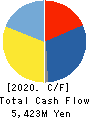 SK-Electronics CO.,LTD. Cash Flow Statement 2020年9月期