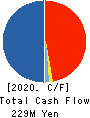 AI,Inc. Cash Flow Statement 2020年3月期