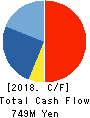 Digital Information Technologies Corp. Cash Flow Statement 2018年6月期