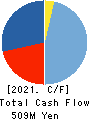 Interworks,Inc. Cash Flow Statement 2021年3月期