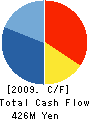 TEN CORPORATION Cash Flow Statement 2009年12月期