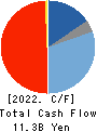 AnGes,Inc. Cash Flow Statement 2022年12月期