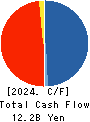 The Global Ltd. Cash Flow Statement 2024年6月期