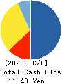 AnGes,Inc. Cash Flow Statement 2020年12月期