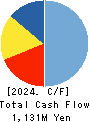 DVx Inc. Cash Flow Statement 2024年3月期
