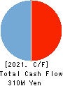 ALiNK Internet,INC. Cash Flow Statement 2021年2月期