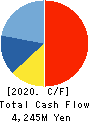 TSUKUI HOLDINGS CORPORATION Cash Flow Statement 2020年3月期