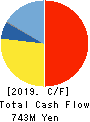 TEIN, INC. Cash Flow Statement 2019年3月期