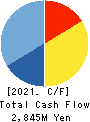 AMG HOLDINGS CO., LTD. Cash Flow Statement 2021年3月期