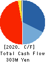 Aplix Corporation Cash Flow Statement 2020年12月期