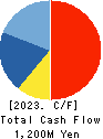 Lilycolor Co.,Ltd. Cash Flow Statement 2023年12月期