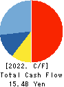 Raysum Co., Ltd. Cash Flow Statement 2022年3月期