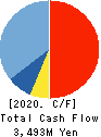TAIKO PHARMACEUTICAL CO.,LTD. Cash Flow Statement 2020年3月期
