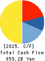 Tokyo Electric Power Co. Holdings,Inc. Cash Flow Statement 2025年3月期