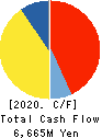ISHIZUKA GLASS CO.,LTD. Cash Flow Statement 2020年3月期