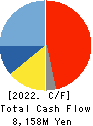 YAMAICHI ELECTRONICS CO.,LTD. Cash Flow Statement 2022年3月期