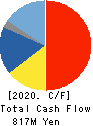 TEIN, INC. Cash Flow Statement 2020年3月期