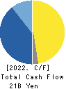 Megachips Corporation Cash Flow Statement 2022年3月期