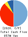 AXEL MARK INC. Cash Flow Statement 2020年9月期