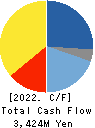 GMB CORPORATION Cash Flow Statement 2022年3月期