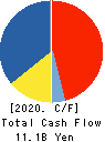 ALCONIX CORPORATION Cash Flow Statement 2020年3月期