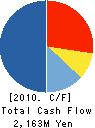 TOKYO Lithmatic Corporation Cash Flow Statement 2010年12月期