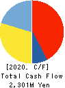 NEW ART HOLDINGS Co., Ltd. Cash Flow Statement 2020年3月期