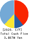 QB Net Holdings Co.,Ltd. Cash Flow Statement 2020年6月期