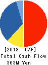 C&G SYSTEMS INC. Cash Flow Statement 2019年12月期