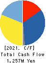 SAWAFUJI ELECTRIC CO.,LTD. Cash Flow Statement 2021年3月期