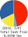 Bit-isle Inc. Cash Flow Statement 2012年7月期