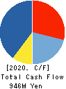 NJ Holdings Inc. Cash Flow Statement 2020年6月期