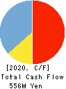 DM Solutions Co.,Ltd Cash Flow Statement 2020年3月期
