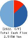 INTLOOP Inc. Cash Flow Statement 2022年Jul期 INTLOOP Inc. Cash Flow Statement 2022年7月期