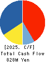 TEIN, INC. Cash Flow Statement 2025年3月期