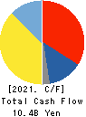 IJTT Co.,Ltd. Cash Flow Statement 2021年3月期