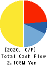 IKUYO CO.,LTD. Cash Flow Statement 2020年3月期