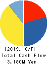 Nippon Pigment Company Limited Cash Flow Statement 2019年3月期
